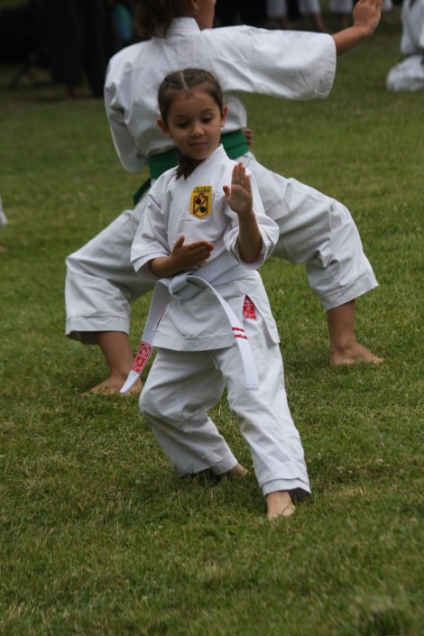 Federatia Romana De Karate Traditional, Palatul Elisabeta, 10 Iulie ...