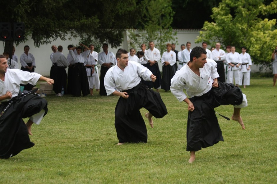 Federația Română De Karate Tradițional, Zece Ani De Patronaj Regal ...